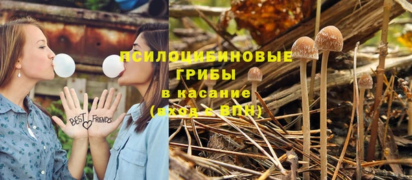 метадон Богородицк