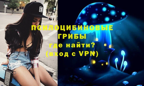кристаллы Богданович